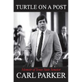Turtle on a Post