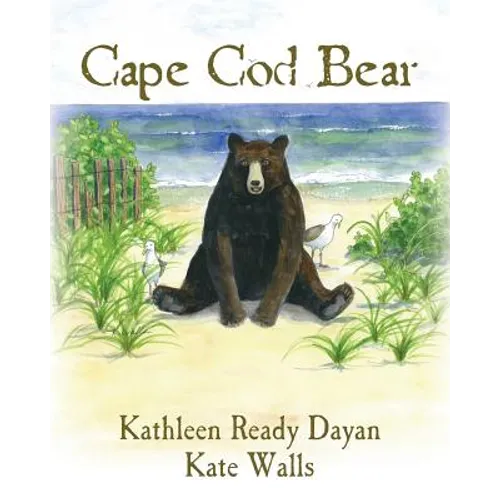 Cape Cod Bear