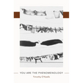 You Are the Phenomenology