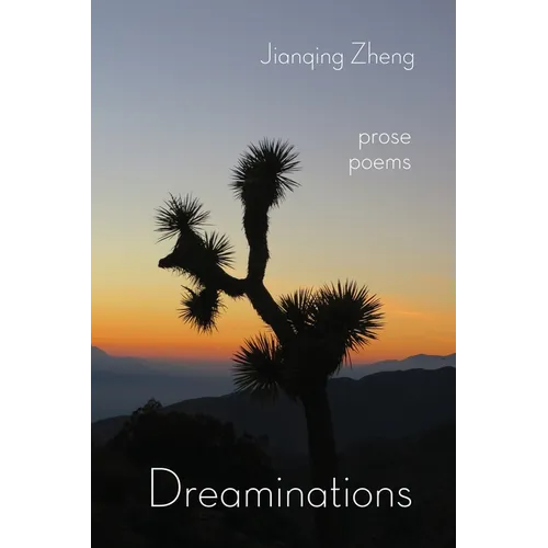 Dreaminations: Prose Poems