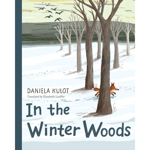 In the Winter Woods