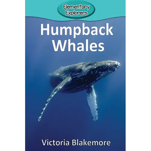Humpback Whales
