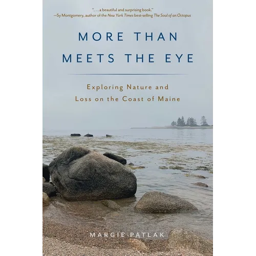 More Than Meets the Eye: Exploring Nature and Loss on the Coast of Maine