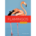 Flamingos