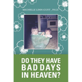Do They Have Bad Days in Heaven?: Surviving the Suicide Loss of a Sibling