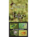 A Field Guide to Insects of the Pacific Northwest