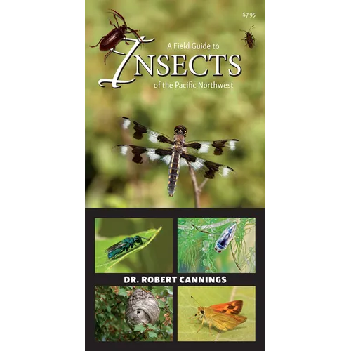 A Field Guide to Insects of the Pacific Northwest