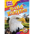 Bald Eagles