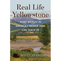 Real Life Yellowstone: What Wildlife in America's Premier Park Can Teach Us