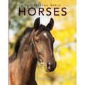 Horses: Amazing Pictures & Fun Facts on Animals in Nature