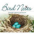 Bird Nests: Amazingly Ingenious and Intricate