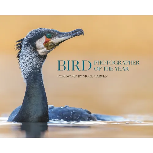 Bird Photographer of the Year: Collection 10