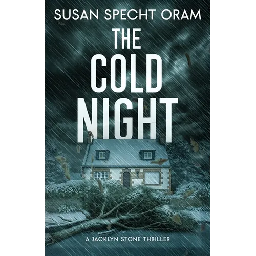 The Cold Night: A Jacklyn Stone Thriller
