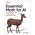 Essential Math for AI: Next-Level Mathematics for Efficient and Successful AI Systems