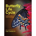 Butterfly Life Cycle: As Told by Skye - a Black Swallowtail