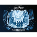 Harry Potter: Magical Places: A Paper Scene Book