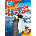 Emperor Penguins