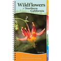 Wildflowers of Northern California: Your Way to Easily Identify Wildflowers
