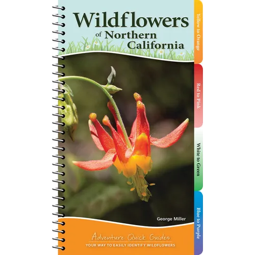 Wildflowers of Northern California: Your Way to Easily Identify Wildflowers