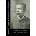 Imperium in Imperio: A Study of The Negro Race Problem A Novel