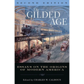 Gilded Age: Perspectives on the Origins of Modern America