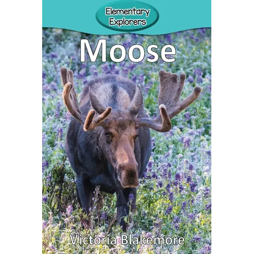 Moose