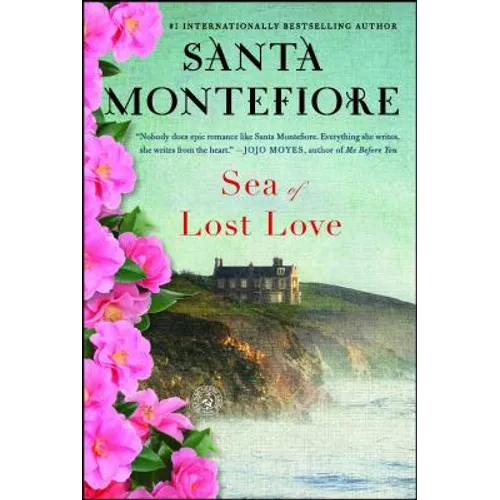 Sea of Lost Love