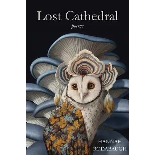 Lost Cathedral