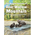 The Magical Seasons of Bear Wallow Mountain: Jordan and her Aunt Frances Explore the Magic of Nature in the Forest