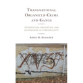 Transnational Organized Crime and Gangs: Intervention, Prevention, and Suppression of Cybersecurity