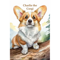 Charlie the Corgi