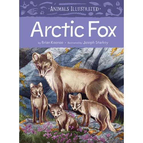 Animals Illustrated: Arctic Fox