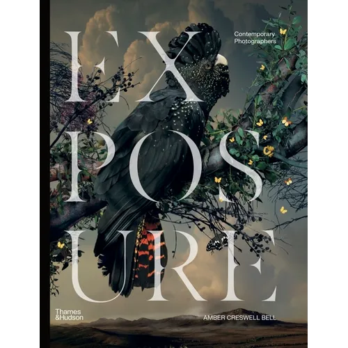Exposure: Contemporary Photographers
