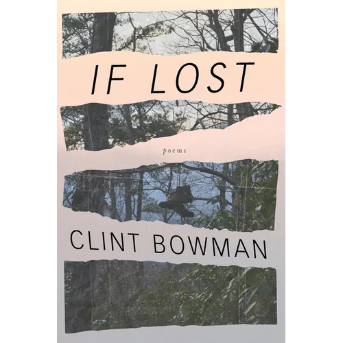 If Lost: Poems by Clint Bowman