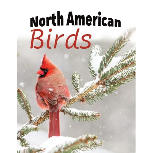 North American Birds