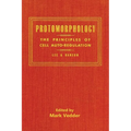 Protomorphology