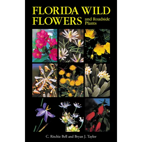 Florida Wild Flowers and Roadside Plants