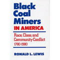 Black Coal Miners in America: Race, Class, and Community Conflict, 1780-1980