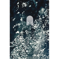 Solum Journal Volume IV