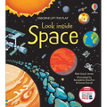 Look Inside Space