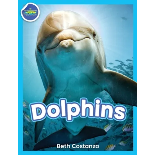 Dolphins!