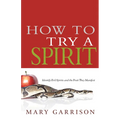 How to Try a Spirit: Identify Evil Spirits and the Fruit They Manifest