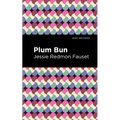 Plum Bun: A Novel Without a Moral