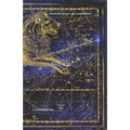 Password Keeper: Leo Constellation