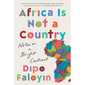 Africa Is Not a Country: Notes on a Bright Continent