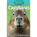 Capybaras