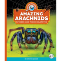 Amazing Arachnids: Spiders and Their Relatives