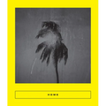 Home: New Arabic Poems