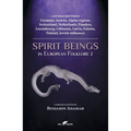 Spirit Beings in European Folklore 2: 228 descriptions - Germany, Austria, Alpine regions, Switzerland, Netherlands, Flanders, Luxembourg, Lithuania,