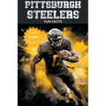 Pittsburgh Steelers Fun Facts